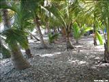 Guardarraya Beach - PATILLAS